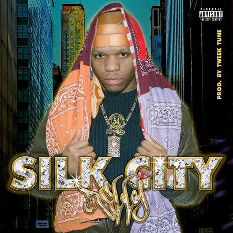 Silk City | Boomplay Music