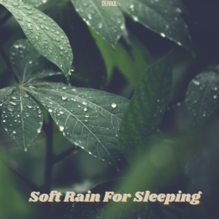 Soft Rain For Sleeping
