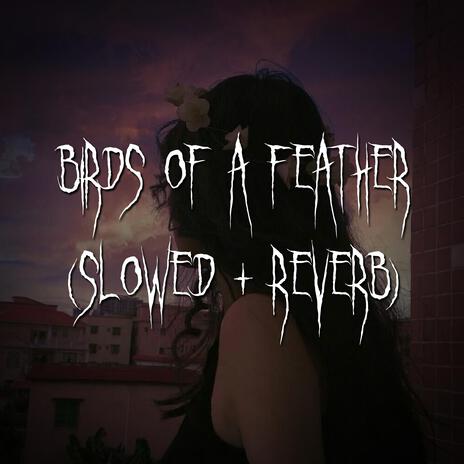 birds of a feather (slowed + reverb) ft. brown eyed girl | Boomplay Music