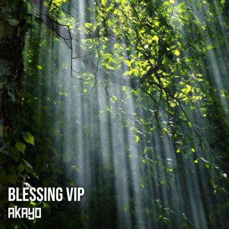 Blessing VIP | Boomplay Music