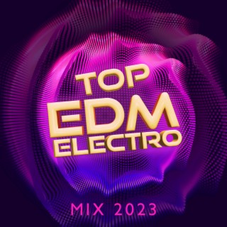 Top EDM Electro Mix 2023 – Best Chill House Beats & Relaxed Vibes