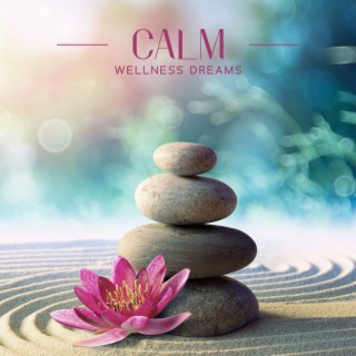Calm Wellness Dreams: Relaxing Background Spa Music for Beauty Treatments, Aromatherapy, Body Care and Massage