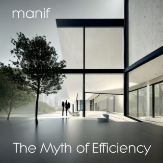 The Myth of Efficiency