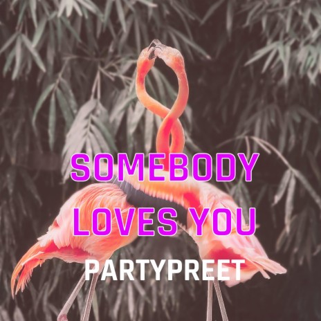 Somebody Loves You | Boomplay Music