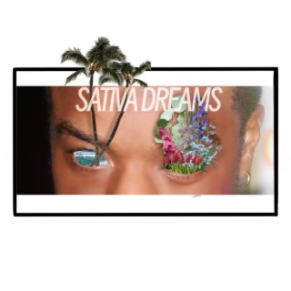 Sativa Dreams lyrics | Boomplay Music