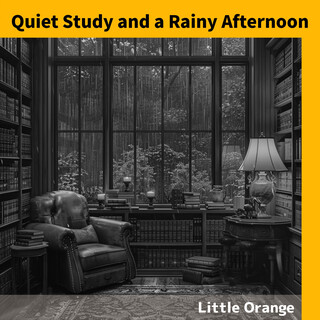 Quiet Study and a Rainy Afternoon