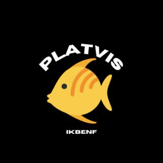 PLATVIS