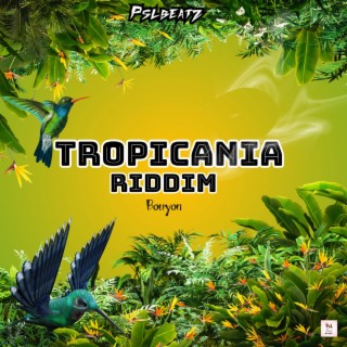 TROPICANIA RIDDIM BOUYON