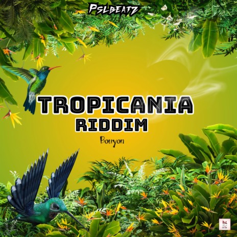TROPICANIA RIDDIM BOUYON | Boomplay Music