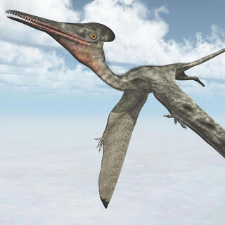 pTeradactyle808