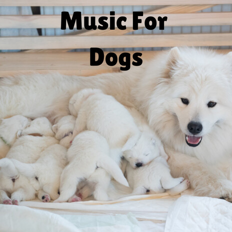 Tranquil Sleep ft. Music For Dogs Peace, Relaxing Puppy Music & Calm Pets Music Academy | Boomplay Music