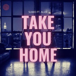 Take You Home ft. Alizé lyrics | Boomplay Music