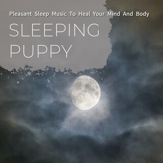 Pleasant Sleep Music To Heal Your Mind And Body