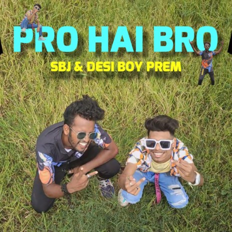 Pro Hai Bro ft. DESI BOY PREM | Boomplay Music