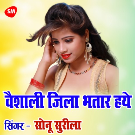 Vaishali Jila Bhatar Haye | Boomplay Music