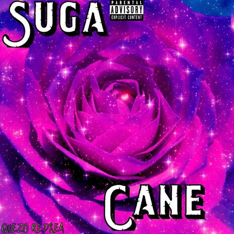 Suga Cane