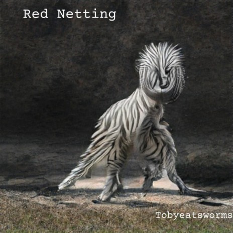 Red Netting (Spiral Back)