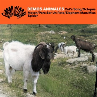 Demos Animales | Boomplay Music