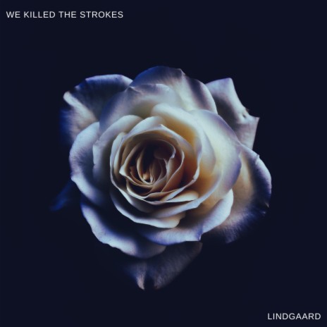 We Killed The Strokes | Boomplay Music