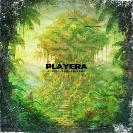 Playera | Boomplay Music