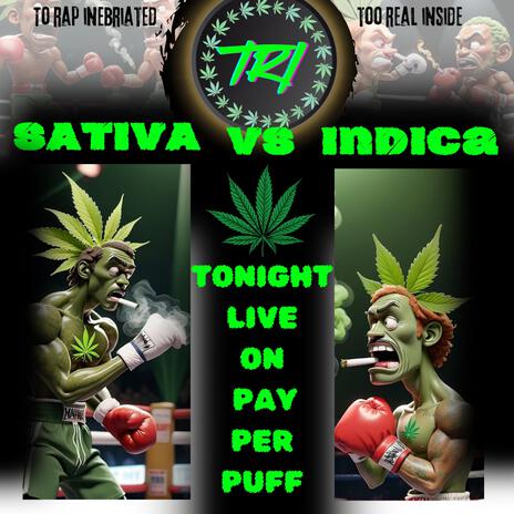 SATIVA vs INDICA | Boomplay Music