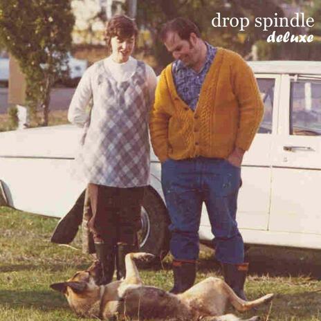 Drop Spindle