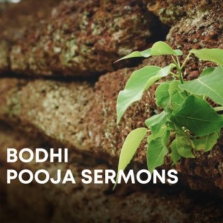 Bodhi Pooja Sermons