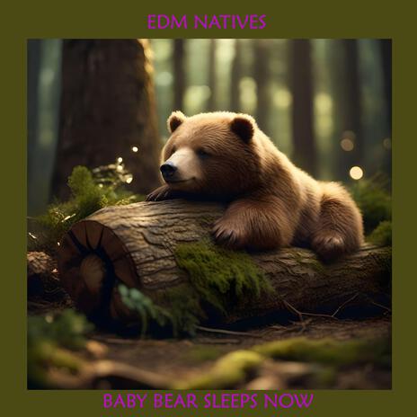 Baby Bear Sleeps Now | Boomplay Music
