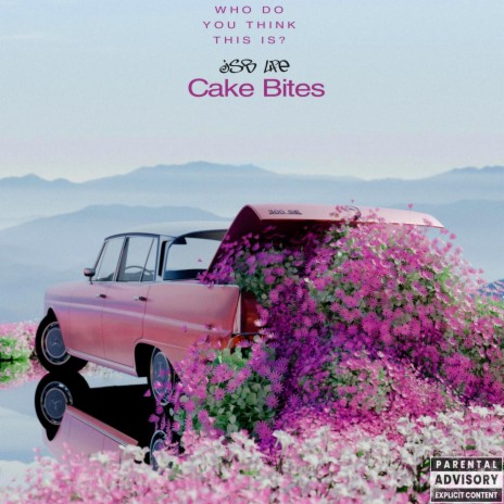 Cake Bites (Radio Edit) | Boomplay Music