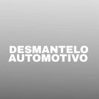 DESMANTELO AUTOMOTIVO