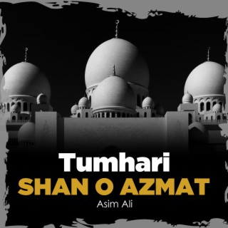 Tumhari Shan o Azmat