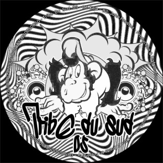 Tribe Du Sud 05