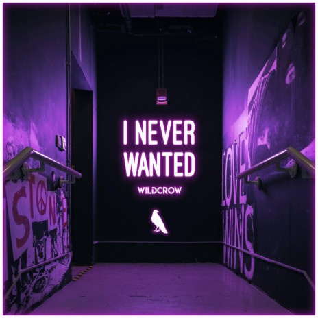 I Never Wanted | Boomplay Music