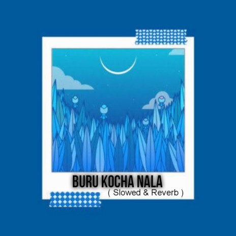 Buru Kocha Nala (Slowed & Reverb)