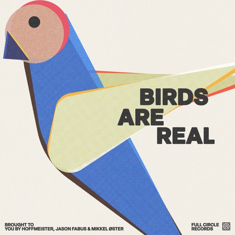 Birds Are Real ft. Jason Fabus & Mikkel Øster | Boomplay Music