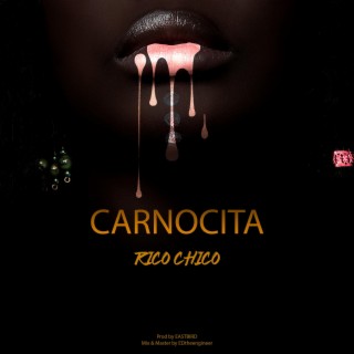 Carnocita lyrics | Boomplay Music