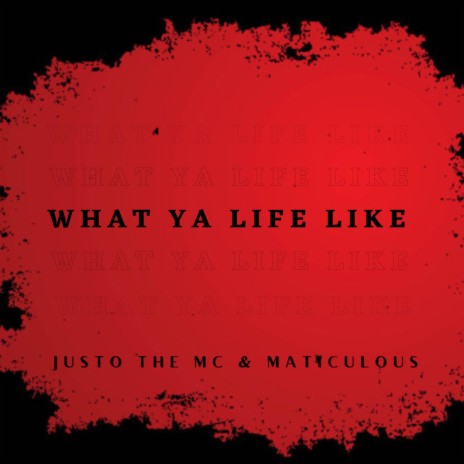 What Ya Life Like ft. maticulous
