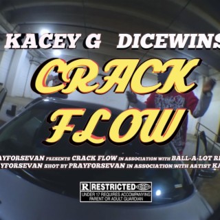 Crack Flow