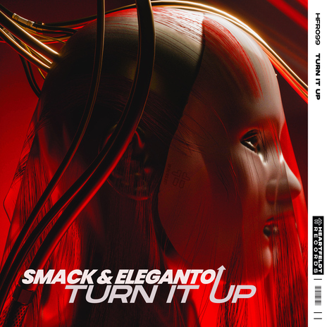 Turn It Up (Extended Mix) ft. Eleganto | Boomplay Music