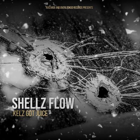 Shellz Flow | Boomplay Music