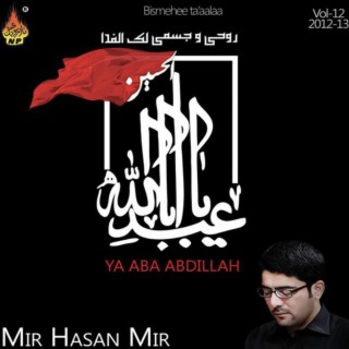 YA ABA ABDILLAH (a.s)