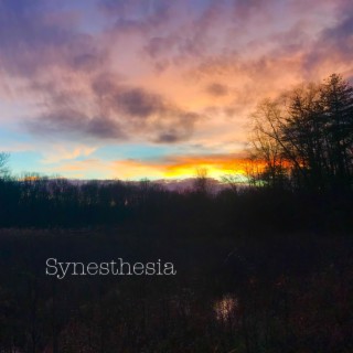 Synesthesia