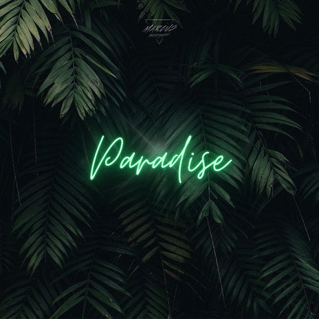 Paradise | Boomplay Music