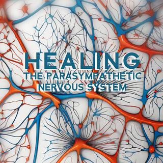 Healing the Parasympathetic Nervous System: Healing Frequency Therapy