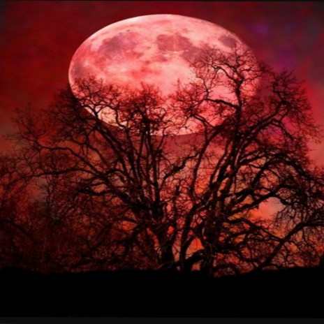 TYPE BEAT BLOOD MOON