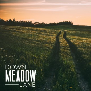Down Meadow Lane