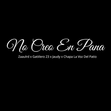 No Creo En Pana ft. Gatillero 23, Jaudy & Chapa La Voz Del Patio | Boomplay Music