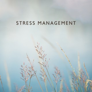 Stress Management: Anxiety Relief Meditation, Calming Nature Sounds, ADHD Focus Music