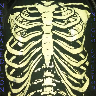 Indiglo Skeleton