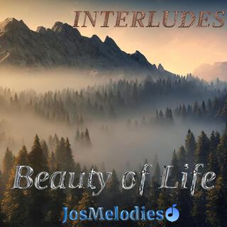 Beauty of Life (Interlude)